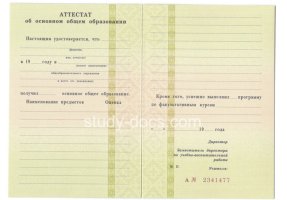 Аттестат за 9 класс 1995-2006 в Раменском