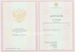 Диплом колледжа 2003-2006 в Раменском
