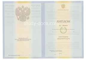 Диплом специалиста 2010-2011 в Раменском